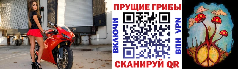 Галлюциногенные грибы Psilocybine cubensis  shop состав  Ковылкино 